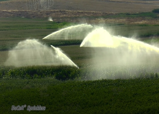 #ducarsprinklers #riego #irrigation